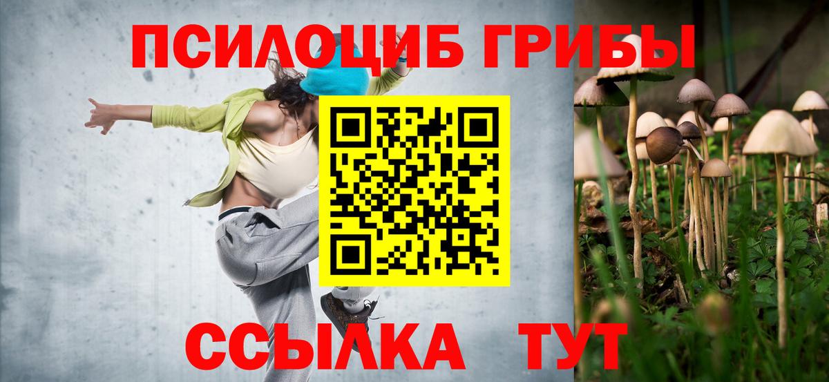 Галлюциногенные грибы Psilocybine cubensis Майкоп